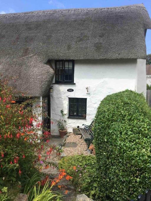 Coombe Cottage سانت أغنس المظهر الخارجي الصورة